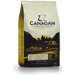 Canagan Dog Large Breed Free-Run Chicken 2 kg – Hledejceny.cz