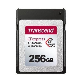 Transcend 256 GB TS256GCFX600