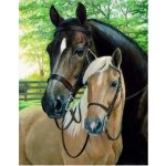Norimpex Diamantové malování Koně 30 x 40 cm – Zboží Mobilmania