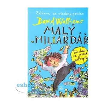 Malý miliardář - David Walliams