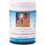 TCM Herbs Vystydnutí horké plotny 100 tablet 30 g – Hledejceny.cz