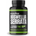 Warrior Boswellia Serrata 100 tablet – Hledejceny.cz