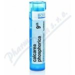 CALCAREA PHOSPHORICA POR 9CH GRA 1X4G – Hledejceny.cz