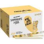 Sorbos Jedlá ovocná brčka Zázvor 200 ks – Hledejceny.cz