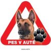 Autovýbava Grel nálepka na plech pozor pes v autě belgický ovčák