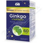 GS Ginkgo 2023 60 mg s hořčíkem 90+30 tablet – Sleviste.cz