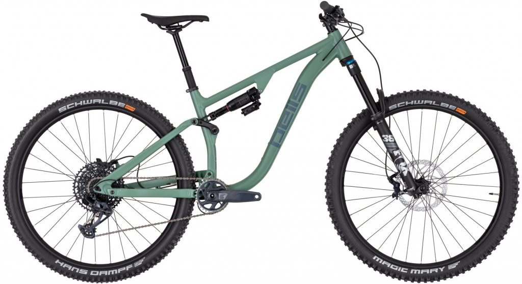 Pells Tarpan AM 1 2024