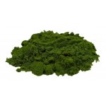 Salvia Paradise Mladý zelený ječmen 100% sušená šťáva BIO 500 g – Hledejceny.cz