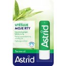 Astrid balzám na rty Tea Tree Oil+Shea Butter 4,8 g