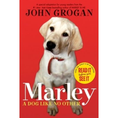 Marley: A Dog Like No Other Grogan John Paperback