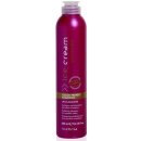 Inebrya Pro-Color Color Perfect Shampoo 300 ml