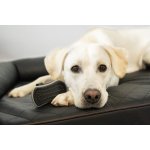 FURminator Curry COMB masážní kartáč 11 cm – Zboží Mobilmania