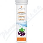 Livsane sumive tablety cz horcik cerny rybiz 20 ks – Hledejceny.cz