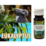 Saloos esenciální olej Eukalypt 10 ml – Zboží Dáma