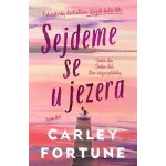 Sejdeme se u jezera - Carley Fortune – Zboží Dáma