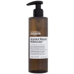 L'Oréal Professionnel Absolut Repair Molecular Professional Rinse-Off Serum obnovující vlasové sérum 250 ml – Hledejceny.cz