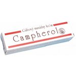Campherol chladivý masážní krém 50 g – Zboží Mobilmania