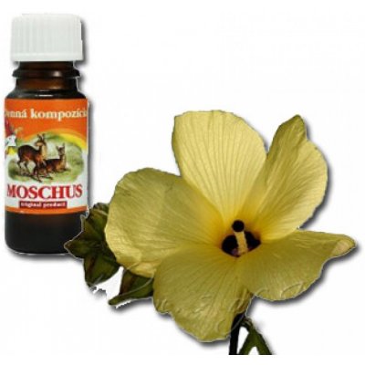 Slow-Natur Vonný olej Moschus 10 ml