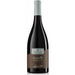 Cantine Due Palme Susumaniello Salento IGP 2022 13,5% 0,75 l (holá láhev) – Hledejceny.cz