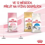 Royal Canin Kitten 2 kg – Hledejceny.cz