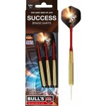 Bull's Steel Success 20g – Zboží Mobilmania