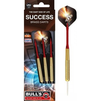 Bull's Steel Success 20g – Zboží Mobilmania