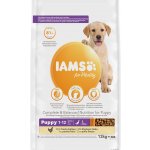 IAMS ProActive Health Puppy & Junior Large Breed Chicken 12 kg – Sleviste.cz