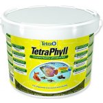 Tetra Phyll 10 l – Zbozi.Blesk.cz