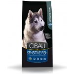 Cibau Dog Sensitive Fish / Rice Medium / Maxi 12 kg – Hledejceny.cz