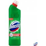 Domestos Fresh WC čistič Pine 750 ml – Hledejceny.cz