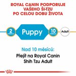 Royal Canin Shih Tzu Puppy 1,5 kg – Zboží Mobilmania