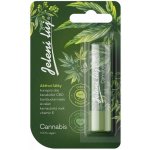 Regina Cannabis pomáda na rty jelení lůj 4,5 g – Hledejceny.cz