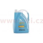 Dynamax Screenwash -20°C 5 l – Sleviste.cz