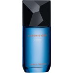 Issey Miyake Fusion d'Issey Extrême toaletní voda pánská 100 ml – Hledejceny.cz