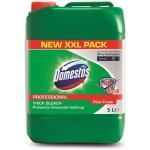 Domestos Professional Pine Fresh univerzální čistící prostředek 5 l – Zboží Dáma