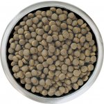 Purina Pro Plan Large Puppy Robust Healthy Start kuře 3 kg – Hledejceny.cz