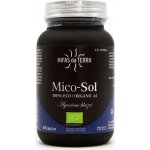Hifas da Terra Mico-Sol BIO Agaricus New 70 kapslí – Hledejceny.cz