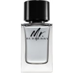 Burberry Mr. Burberry toaletní voda pánská 100 ml – Hledejceny.cz