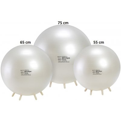 Gymnic Sit’n’Gym 55 cm – Zboží Mobilmania