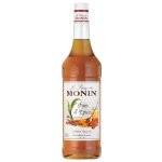 Monin Gingerbread 1 l – Zboží Dáma