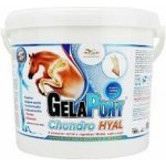 Gelapony Chondro Hyal 1,8 kg – Hledejceny.cz