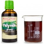 Bylinné kapky Pelyněk pravý kapky 50 ml – Hledejceny.cz