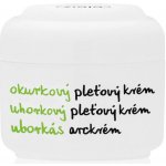 Ziaja okurkový pleťový krém pro mastnou pleť 50 ml – Zboží Dáma