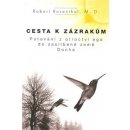 Cesta k zázrakům Robert Rosenthal