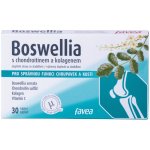 Favea Boswellia s chondroitinem a kolagenem 30 tablet – Hledejceny.cz