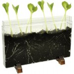 EDUPLAY Kořenový dům žížalí farma – Sleviste.cz