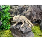 MatMire Makes Gekon k domalování 27 cm 3D tisk – Zboží Mobilmania