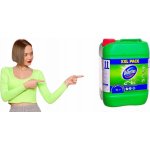 Domestos Professional Pine Fresh univerzální čistící prostředek 5 l – Zboží Dáma