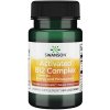 Vitamín a minerál Swanson Activated B12 Complex 60 kapslí Třešeň