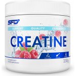 SFD NUTRITION Creatine Monohydrate 250g – Zboží Mobilmania